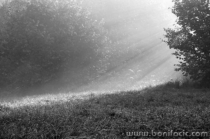 gerovo34bwmal
