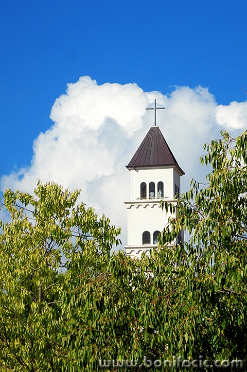 crikzvonik1mal
