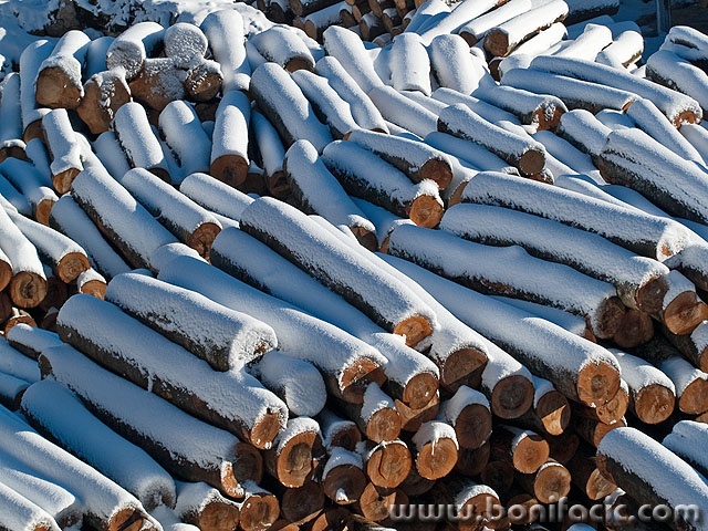 stilllife___Woods___Krasno, Croatia.