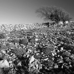 stablagromacadokulovo2bwmal