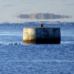 babagnjurcikormat1mal