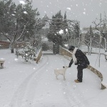 action___Bask___Punat, Croatia.