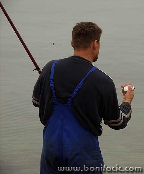 action___Bad Luck___Punat, Croatia