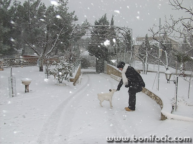 action___Bask___Punat, Croatia.