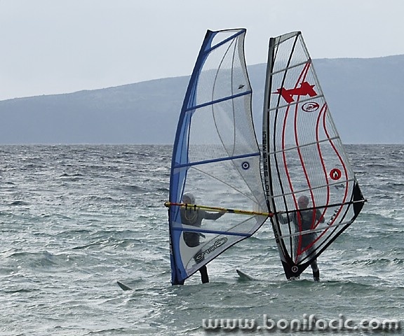 action___Butterfly___Punat, Croatia.