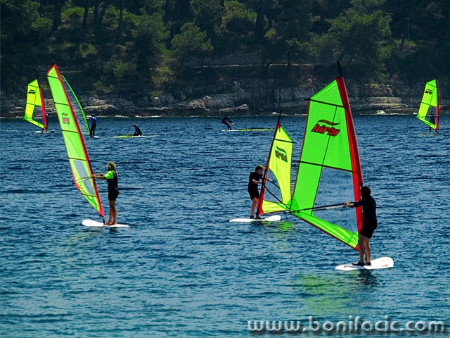 action___Butterflyes___Mali Losinj, Croatia.