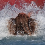 action___Croatian Colours___Punat, Croatia.