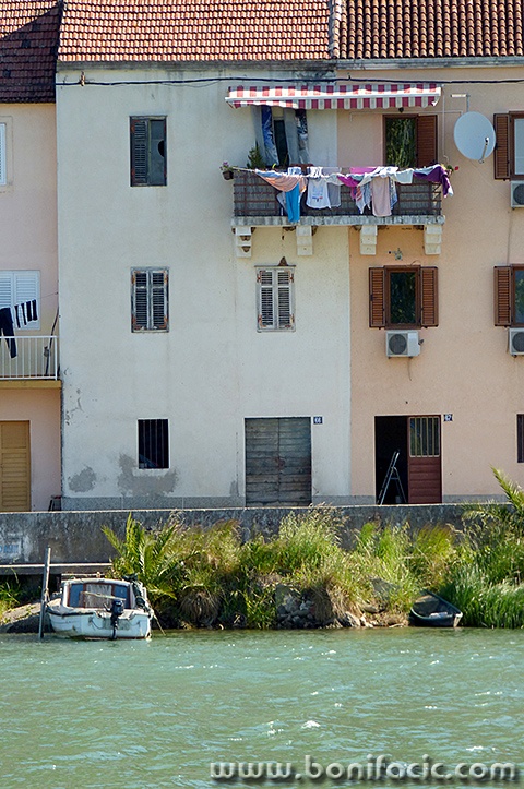 ploce1mal
