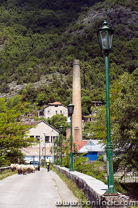 skadar77mal