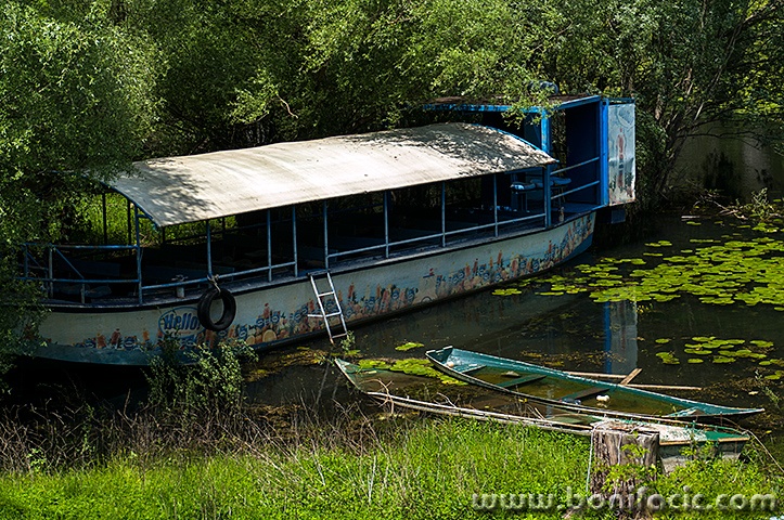 skadar83mal
