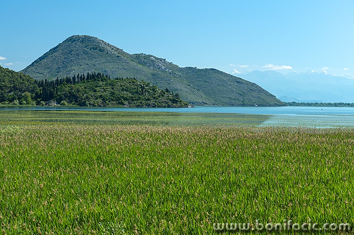 skadar1mal
