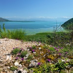 skadar12mal