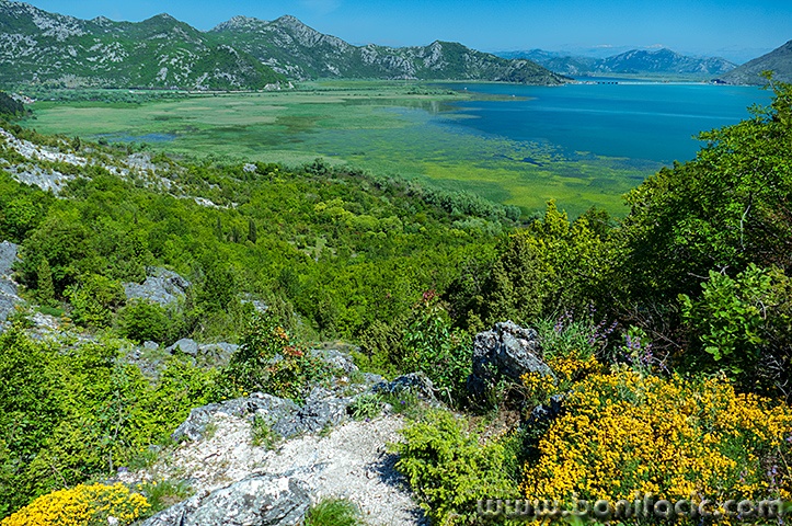 skadar10mal