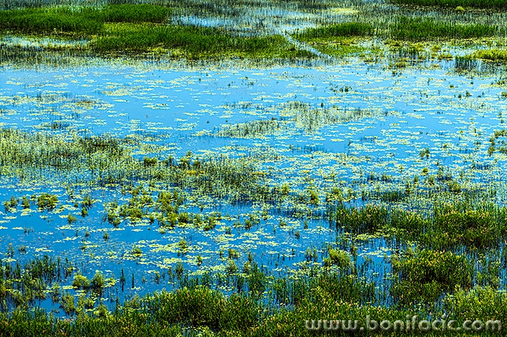 skadar14mal