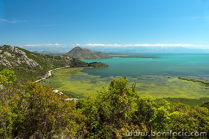 skadar27mal
