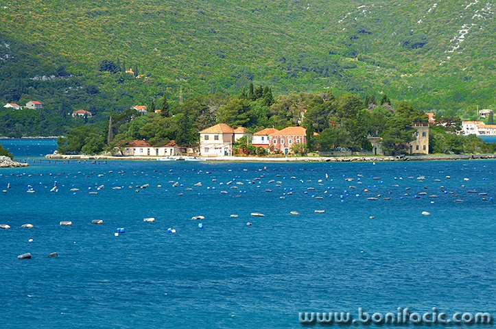 ston10mal