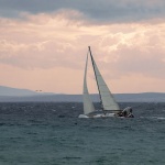 action___Fiu___Punat, Croatia.