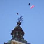 action___Flying With Birds___Samobor, Croatia.