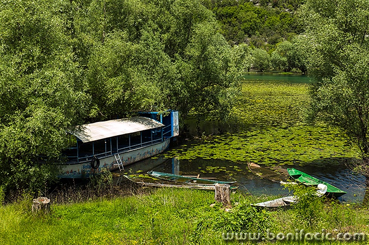 skadar84mal