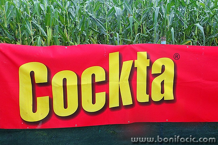 bazenlescecockta2mal