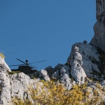 heli20mal