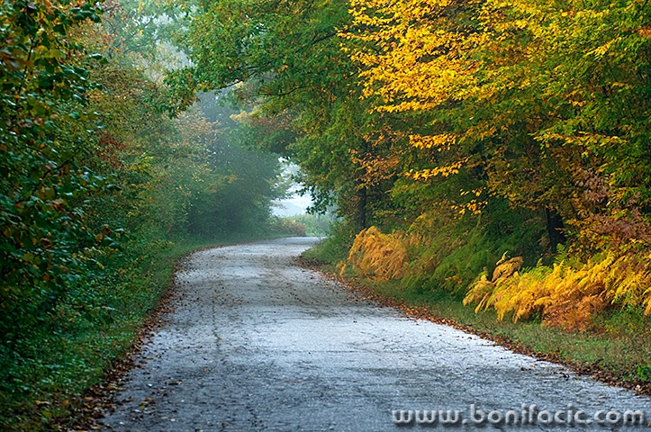 majstorska10mal
