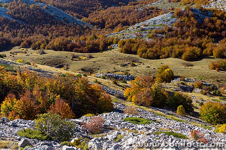 majstorska29mal
