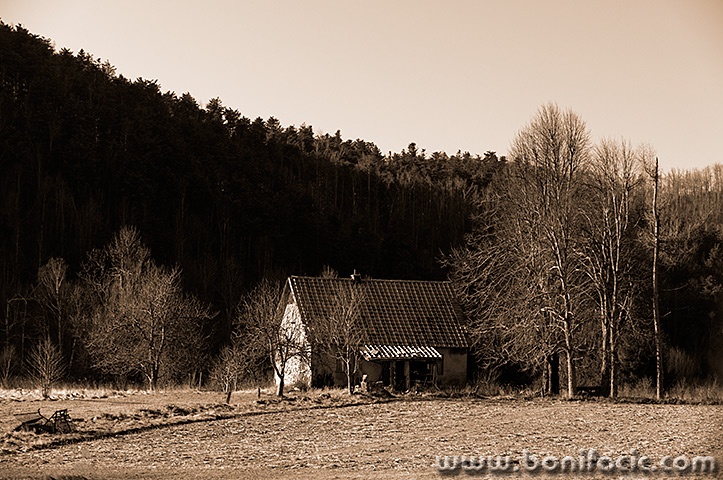 kucalicsepia1mal