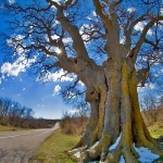 stilllife___Pokriva___Vrbnik, Croatia.