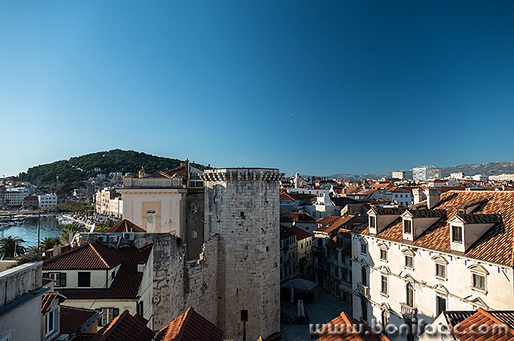 split4mal