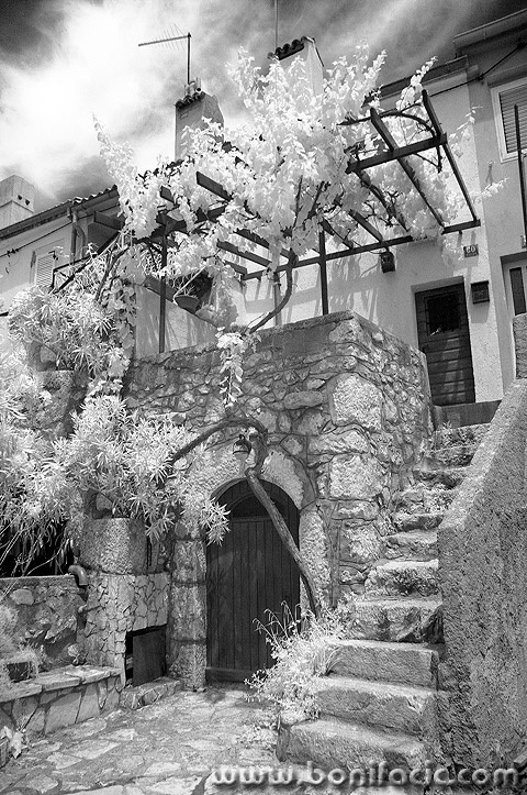 galija60-copyBWmal