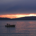 action___Net Raising___Punat, Croatia.