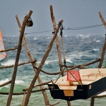 action___Out Of Cage___Savudrija, Croatia.