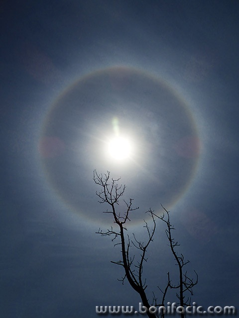 sunceplit2mal