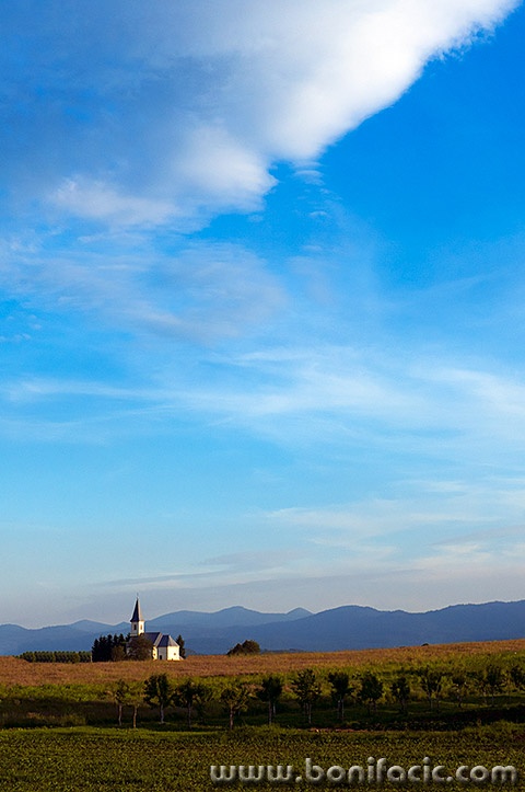 josipdolcrikvalager1mal