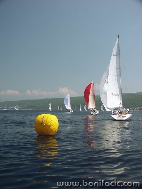 action___Regata 5___Punat, Croatia.