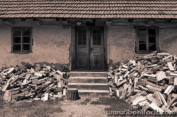 generalskistol2sepiamal