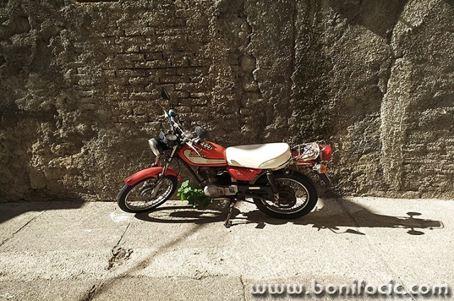 hondasenj1mal