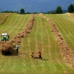 action___Scythe___Bjelolasica, Croatia.