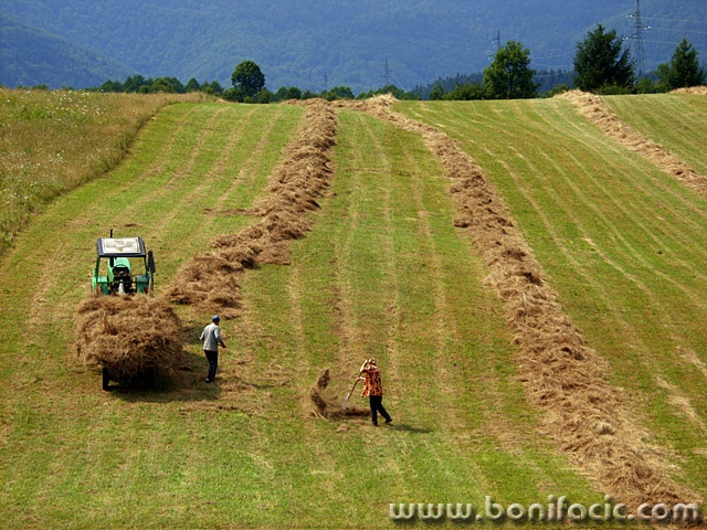 action___Scythe___Bjelolasica, Croatia.