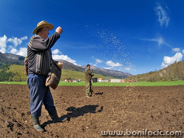 action___Semination___Krasno, Croatia.