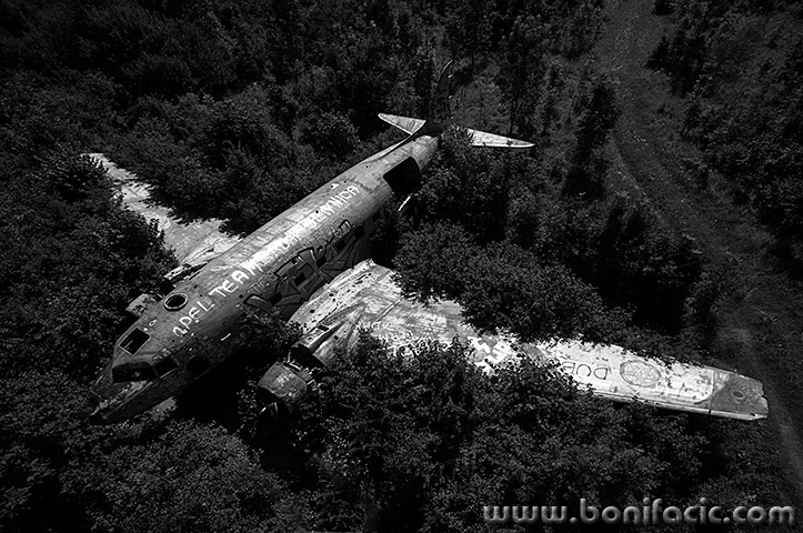 zelj13BWmal