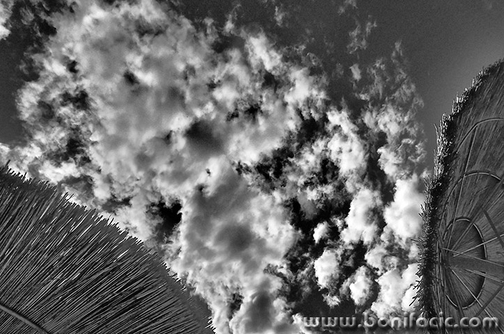 aqc4BWmal