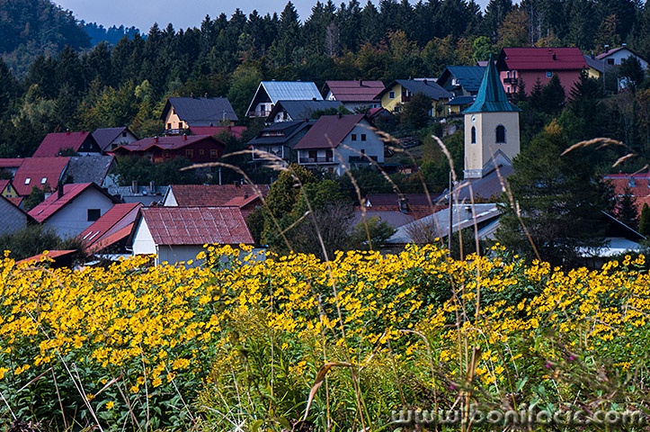 lokverozice5mal