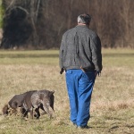 action___Tartuf Search___Motovun, Croatia.