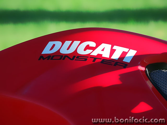 ducatimonsterlubenica copymal