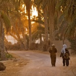travel___Dattes Walk___Douz, Tunisia.