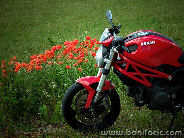 ducati1mal