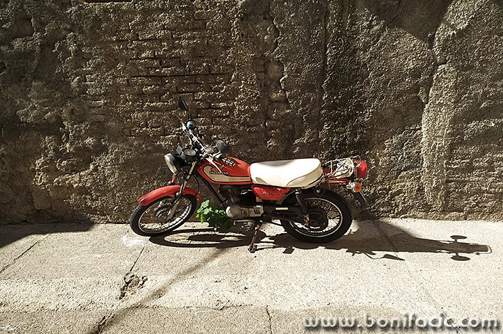 hondasenj1mal