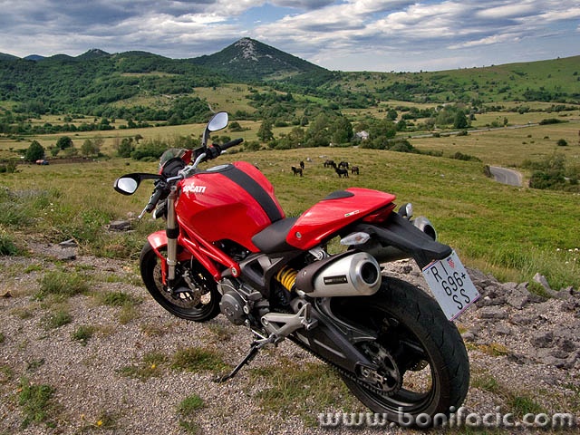 monster11mal